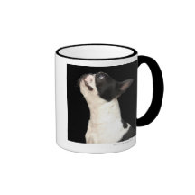 Boston noir et blanc Terrier recherchant Tasse