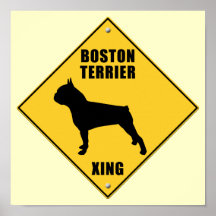 Boston Terrier croisant le signe (XING) Affiche