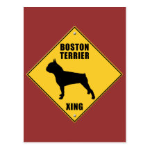 Boston Terrier croisant le signe (XING) Carte Postale