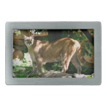 Boucle de ceinture de photo de puma