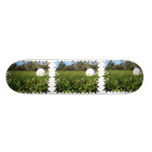 Boule de golf sur la planche à roulettes de cours