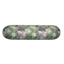 Boule givrée : Fleurs sauvages alpins Plateaux De Planche À Roulettes