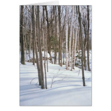 Bouleaux de neige carte de vœux