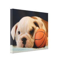 Bouledogue anglais "de chiot de basket-ball" toiles tendues