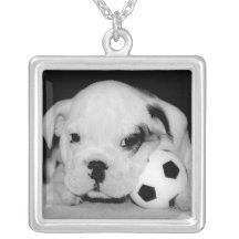 Bouledogue anglais "de chiot du football" colliers personnalisés