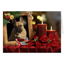 Bouledogue carte de Noël français