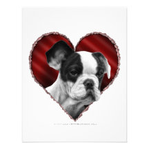 Bouledogue français avec le coeur invitations