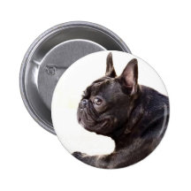 Bouledogue français badges