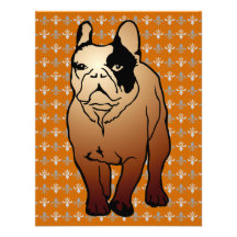 Bouledogue français bristols