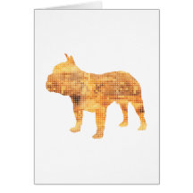 Bouledogue français carte