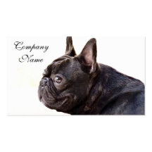 Bouledogue français carte de visite