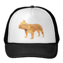 Bouledogue français casquette de camionneur