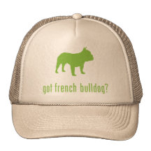 Bouledogue français casquettes de camionneur