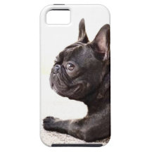 Bouledogue français coque Case-Mate iPhone 5