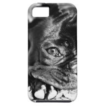 Bouledogue français coque iPhone 5 Case-Mate