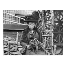 Bouledogue français de champion, les années 1920 carte postale