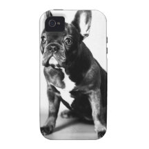 Bouledogue français iPhone 4 case
