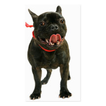 Bouledogue français modèle de carte de visite