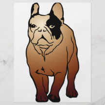 Bouledogue français prospectus en couleur