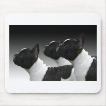 bouledogue français tapis de souris