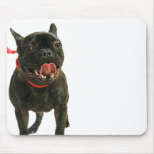 Bouledogue français tapis de souris