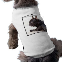 Bouledogue français vêtements pour chien
