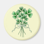 Bouquet 2 de shamrock magnets