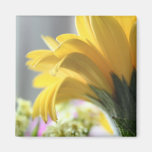 Bouquet 4 aimants