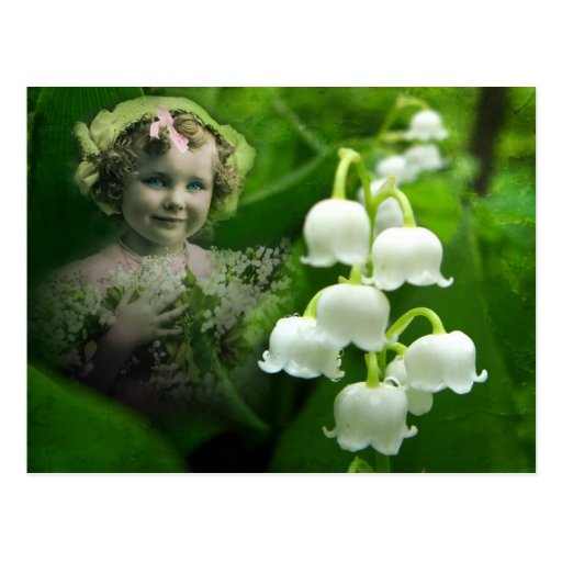 Bouquet blanc doux de fleur de Bell du muguet Cartes Postales