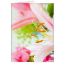 Bouquet Cartes De Vœux