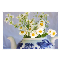 Bouquet de marguerite dans une théière photos sur toile