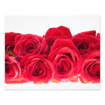 Bouquet des roses roses lumineux impression photo