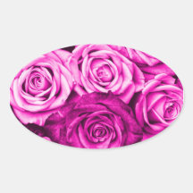 Bouquet rose assez magenta de fleur de roses adhésif