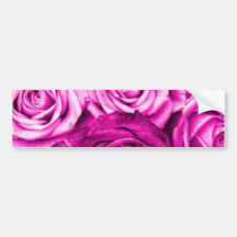 Bouquet rose assez magenta de fleur de roses autocollants pour voiture