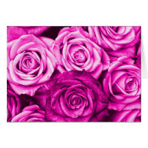 Bouquet rose assez magenta de fleur de roses cartes de vœux
