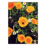 Bourdon dans les cartes pour notes de pavots