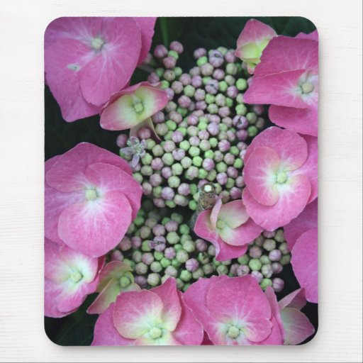Bourgeon d'hortensia tapis de souris