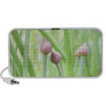 Bourgeon floraux de ciboulette haut-parleurs mp3