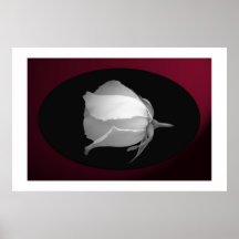 Bourgeon rose (noir et blanc) posters