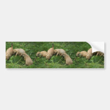 Bousculade de chiots de chien de prairie adhésif pour voiture
