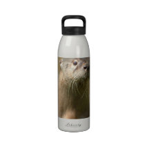 Bouteille d'eau curieuse de loutres