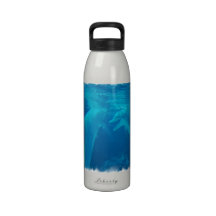 Bouteille d'eau de causerie de paires de dauphin