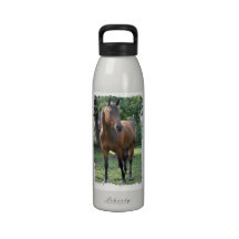 Bouteille d'eau de cheval de pur sang de baie