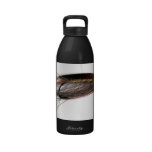 Bouteille d'eau de Madame Caroline Salmon Fly bouteilles