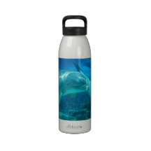 Bouteille d'eau espiègle de dauphins