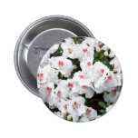 Bouton avec les fleurs blanches de fleur d'azalée badge avec épingle