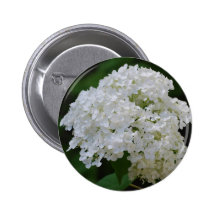 Bouton blanc d'hortensias badge