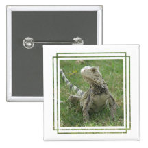 Bouton carré d'iguane pin's avec agrafe