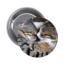 Bouton d'amour de chat badge avec épingle