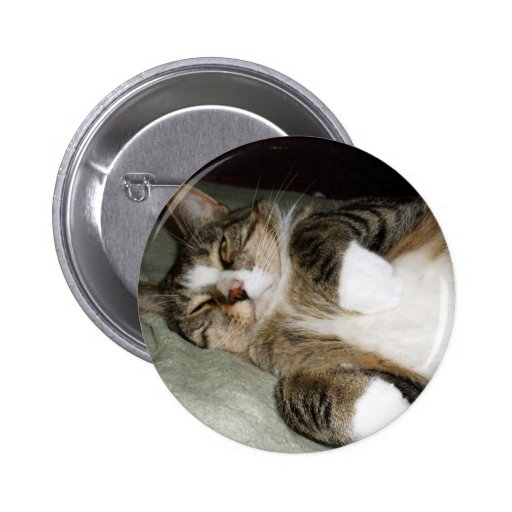 Bouton de chat mannois badges avec agrafe